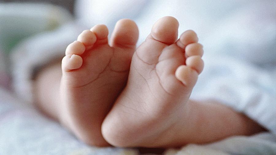 babyreflex 2