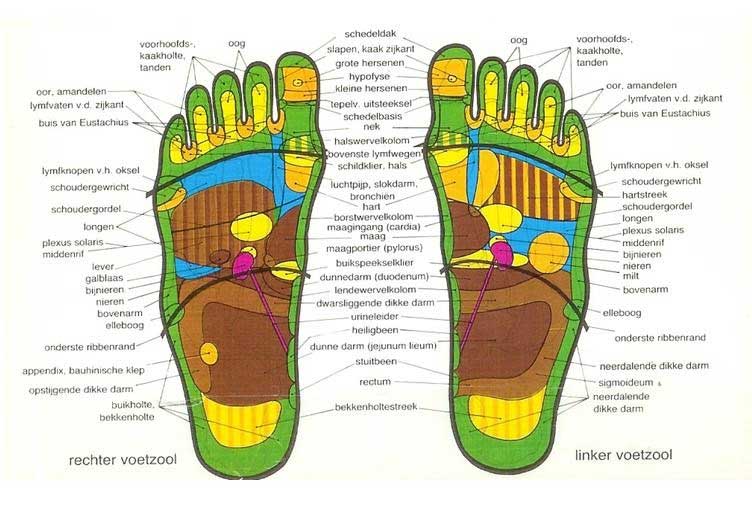 voetreflexkaart
